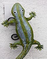 Gecko & Echsen