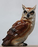 Eulen & Vögel