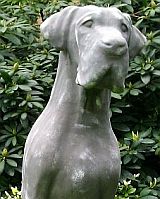 Hunde Hunde