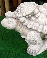 Schildkröten & Schnecken Schildkröten & Schnecken
