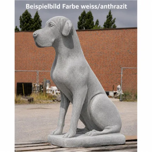 Dogge XXL