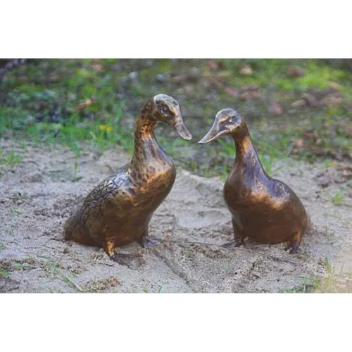 Enten Paar