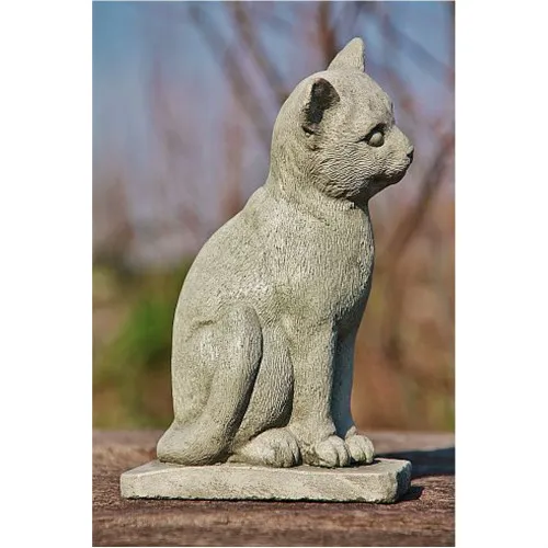 Katze
