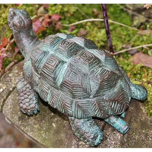 Schildkröte
