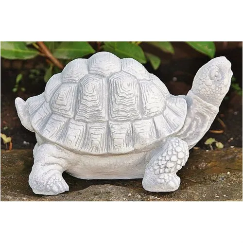 Schildkröte