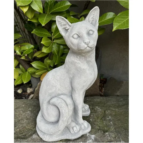 Katze 38 H