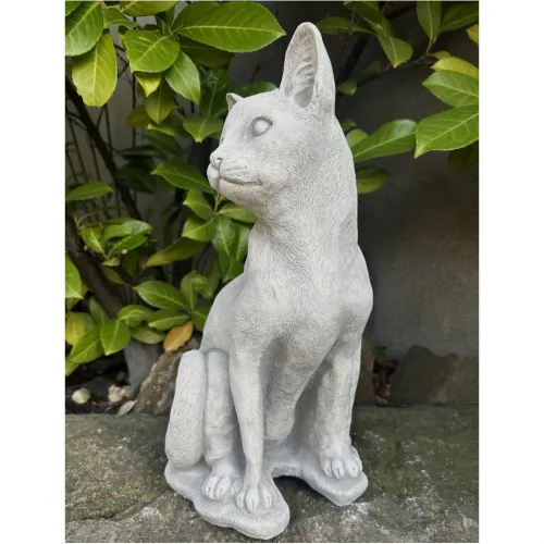 Katze 38 H