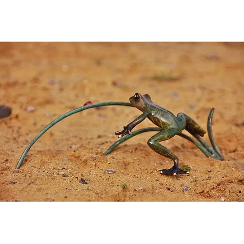 Frosch und Marienkäfer