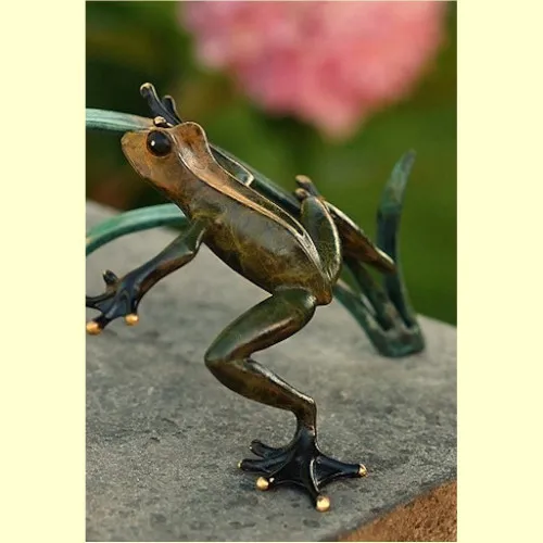 Frosch und Marienkäfer