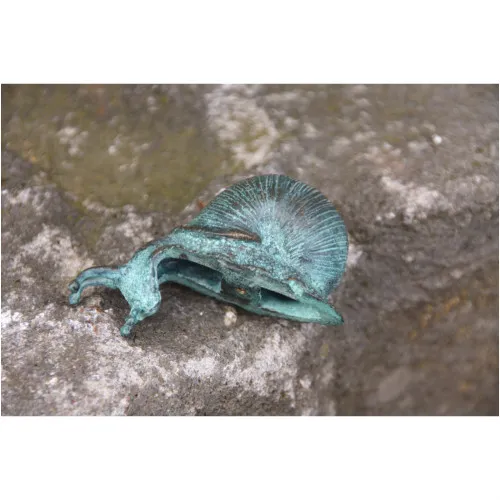 Schnecke