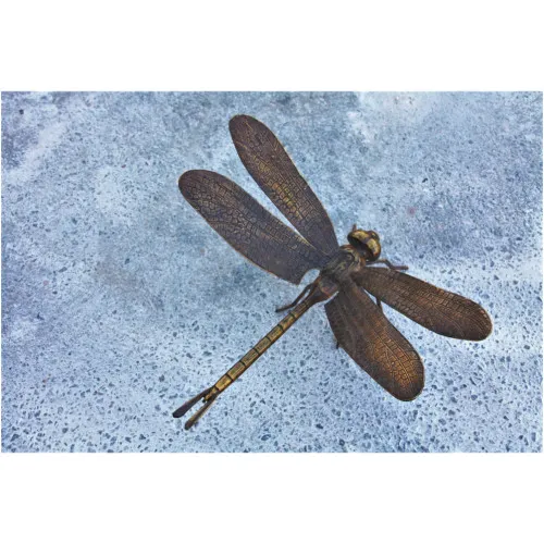 Bronze Libelle