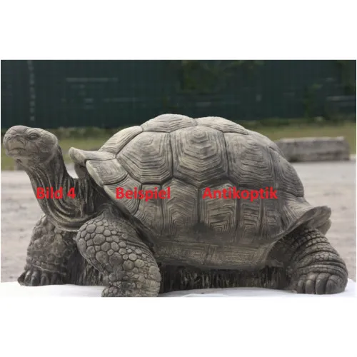 Schildkröte gross