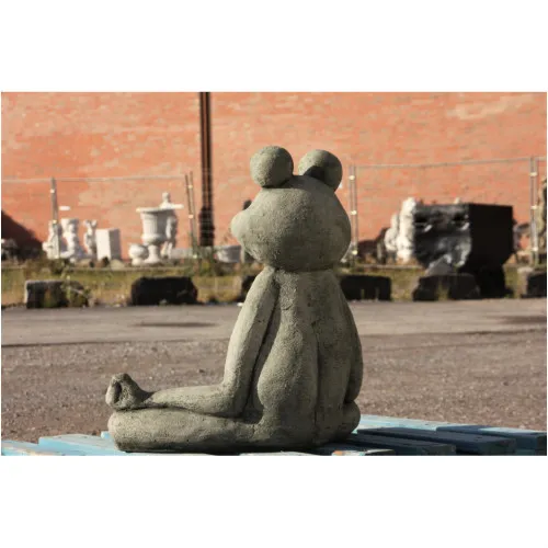 Yoga Frosch