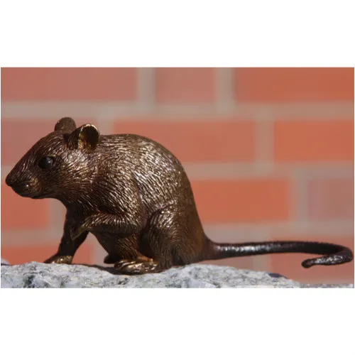 Bronze Maus