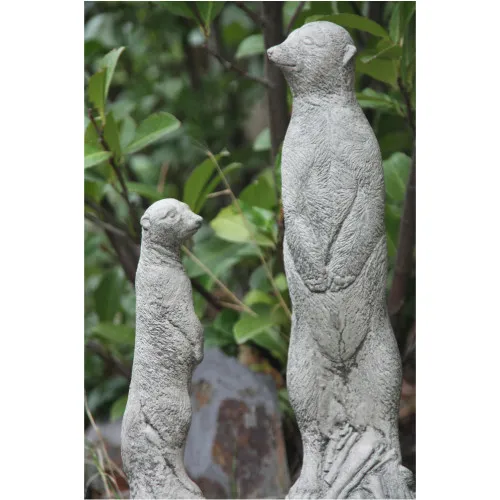 Erdmännchen Paar