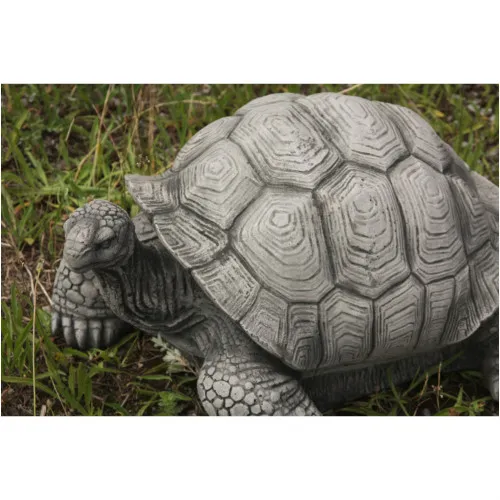 Schildkröte