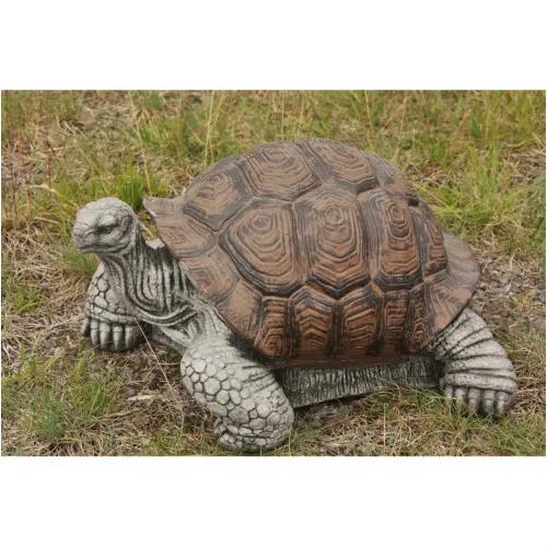 Schildkröte