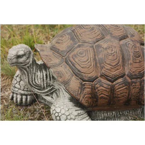 Schildkröte
