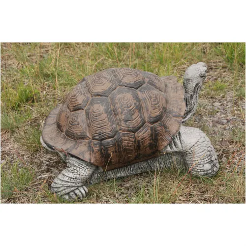 Schildkröte