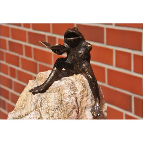Frosch mit Noten