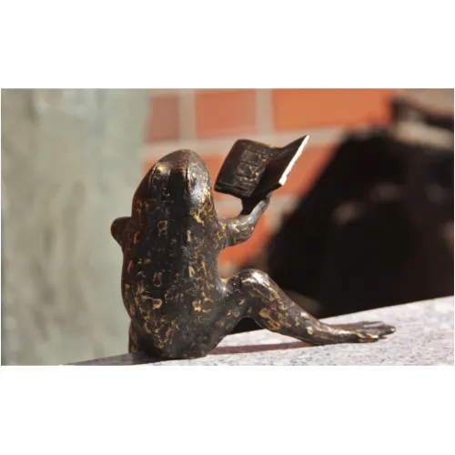 Frosch mit Noten