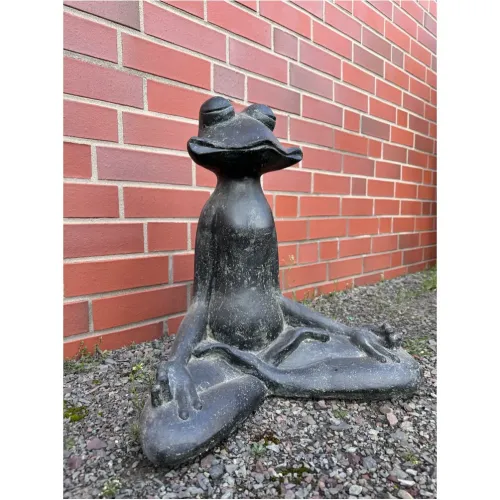 Frosch Meditation
