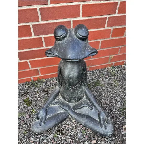 Frosch Meditation