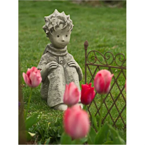 Der kleine Prinz
