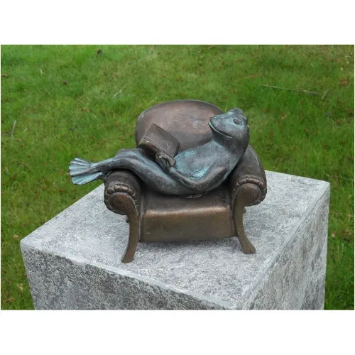 Frosch auf Couch