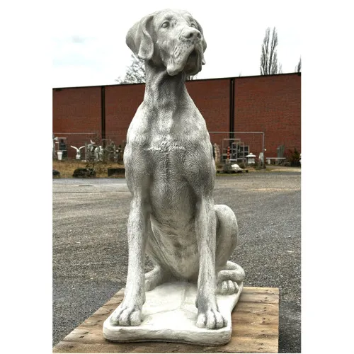 Dogge 104 H
