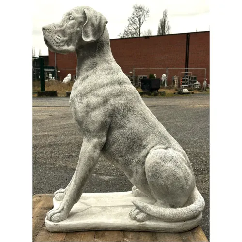 Dogge 104 H