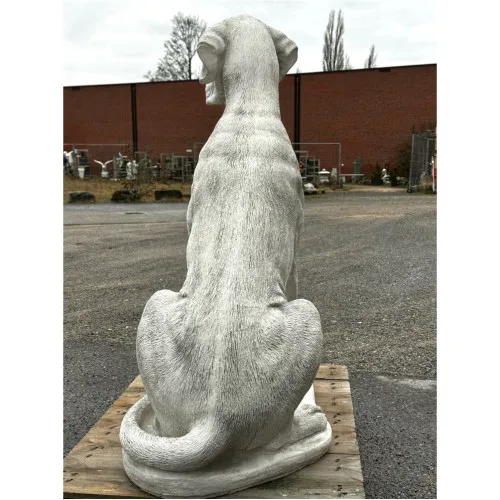 Dogge 104 H