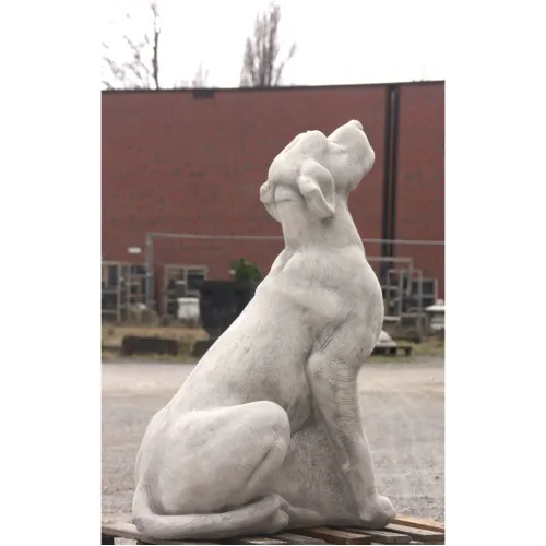 Labrador 100 H
