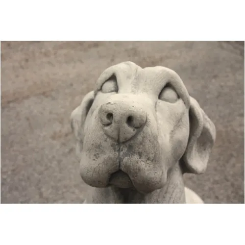 Labrador 100 H