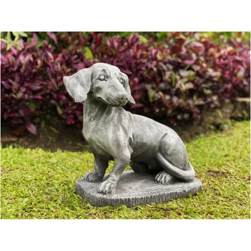 Dachshund