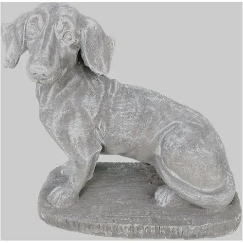 Dachshund