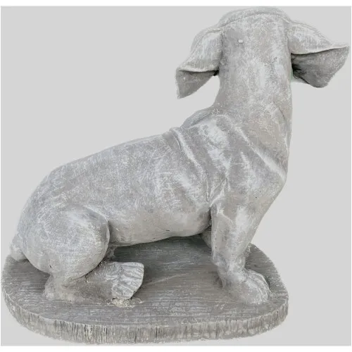 Dachshund