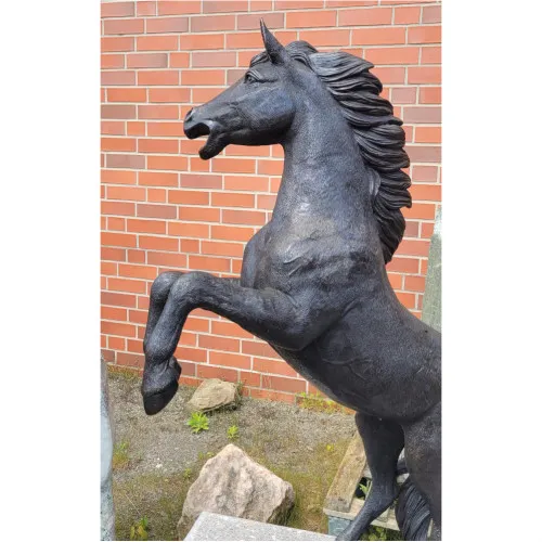Pferd steigend