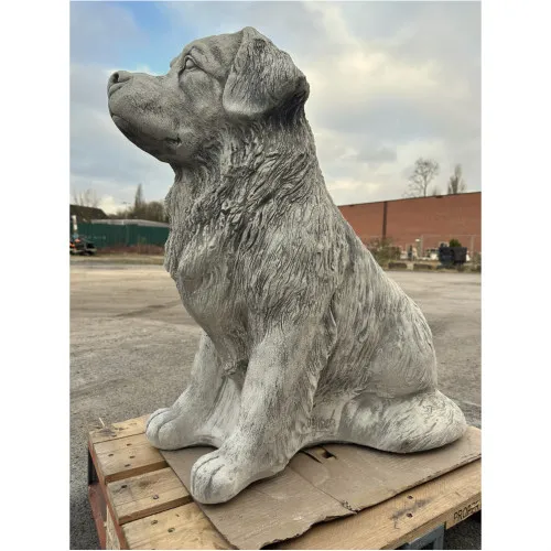 Berner Sennenhund