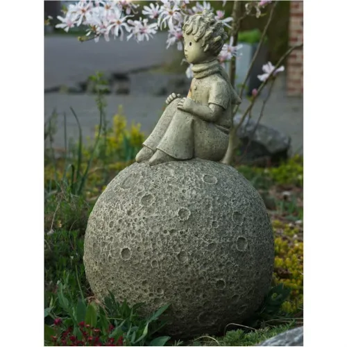 Prinz auf dem Mond