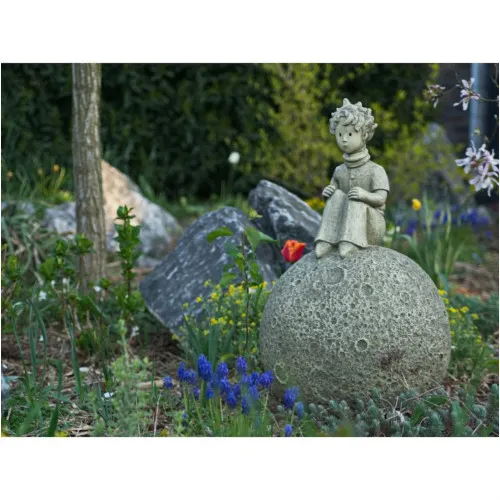 Prinz auf dem Mond