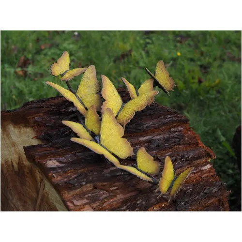 Schmetterlingsschwarm