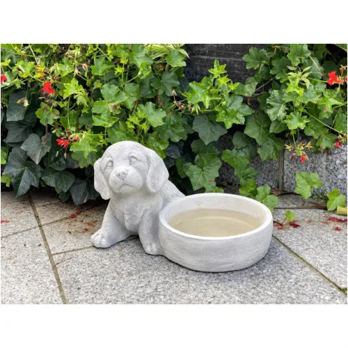 Hunde Tränke