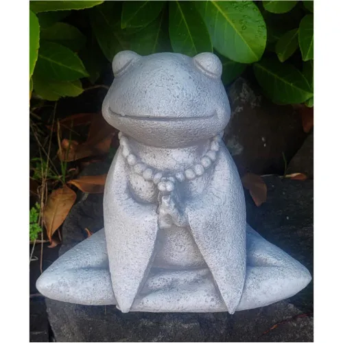 Yoga Frosch