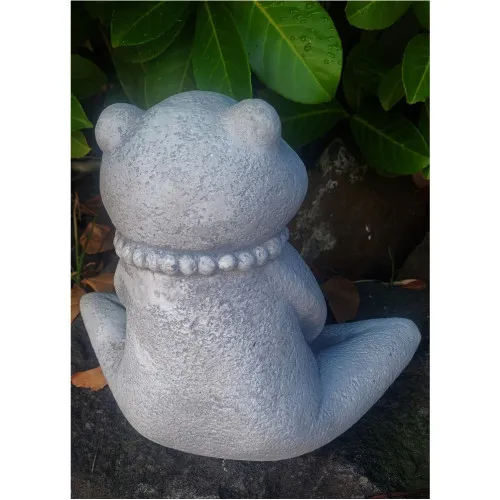 Yoga Frosch