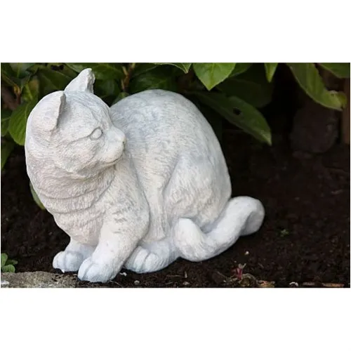 Katze