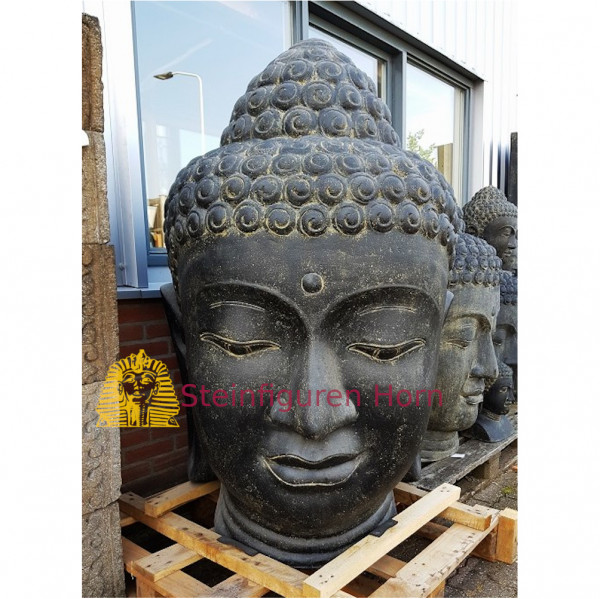 Buddha Kopf