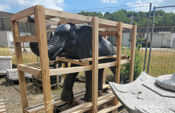 Elefant gross