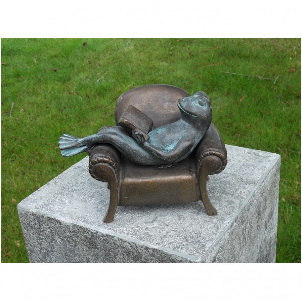 Frosch auf Couch