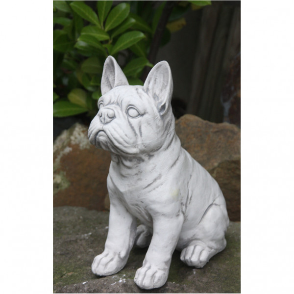 Bulldogge